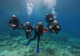 Picture of 5 divers swimming through the underwater landscape with Cyprus Diving Adventures.