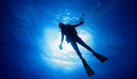 A diver during the PADI Open Waters Course in Taormina for Beginners with Nike Diving Centre Taormina.
