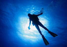 Un plongeur pendant la Formation plongée PADI Open Water à Taormina pour Débutants avec Nike Diving Centre Taormina.