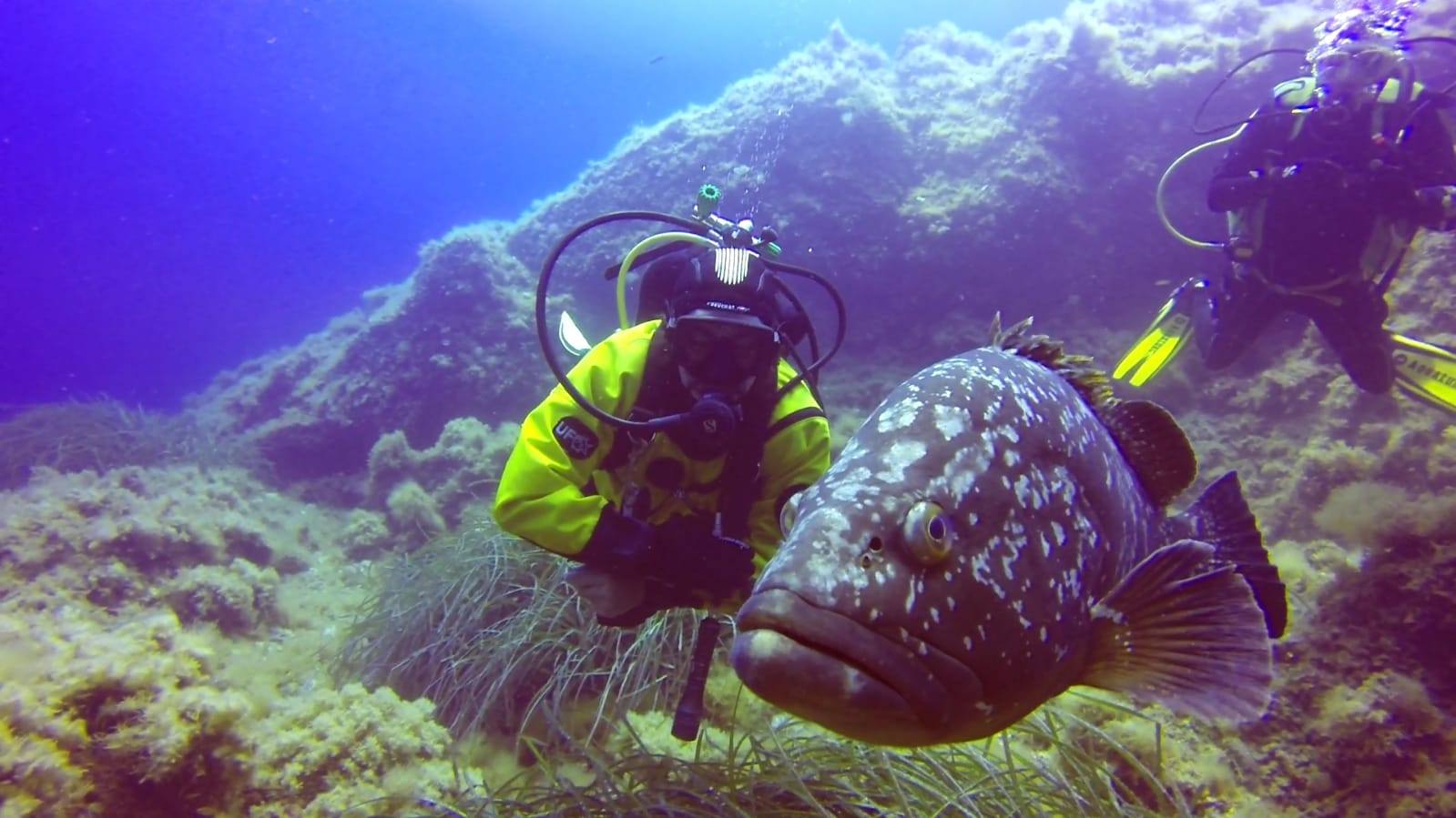 SSI Scuba Diver Course in the South of Elba from Marina di Campo Diving Elba.