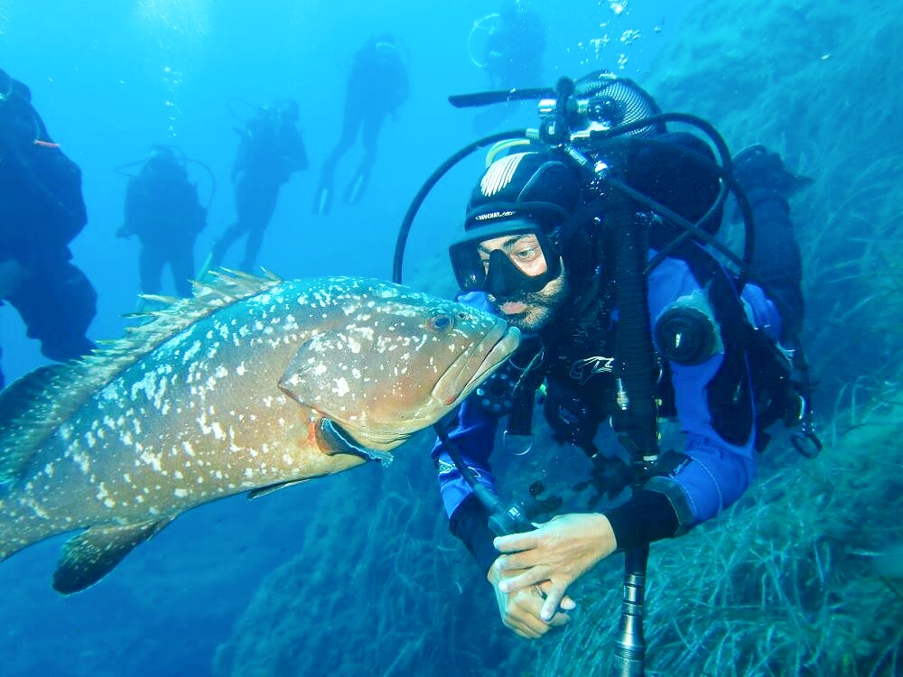 Tauchkurs (SSI) in Marina di Campo für Anfänger mit Marina di Campo Diving Elba.
