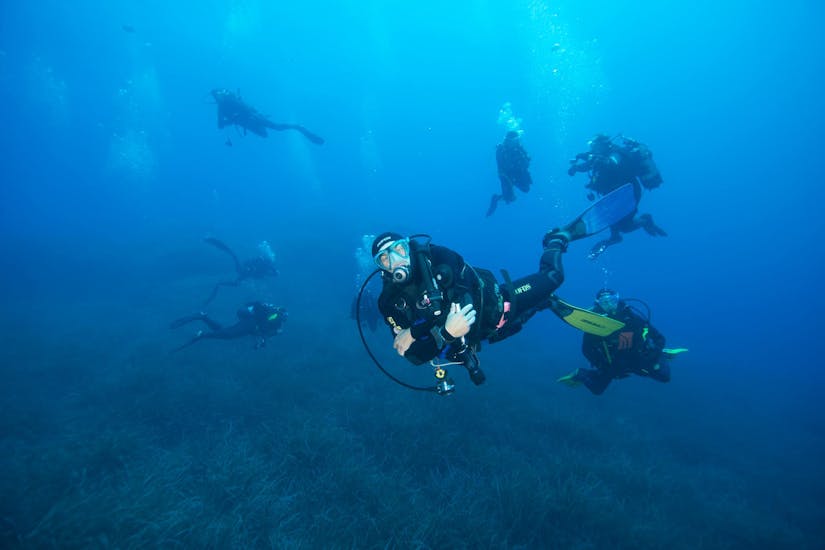 Un sub sott'acqua che posa per la foto durante il Corso SSI Open Water Diver a sud dell'Elba con Marina di Campo Diving Elba.