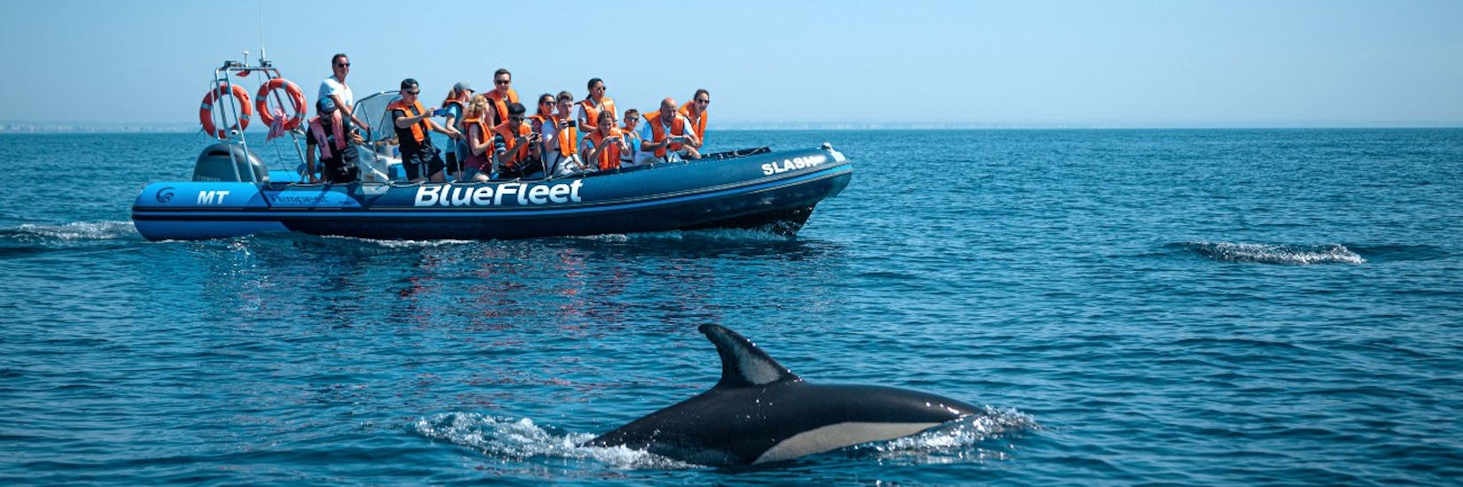 Gita in barca da Lagos a Costa Vicentina con osservazione della fauna selvatica.