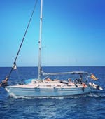 Nuestro barco navegando durante una excursión privada de medio día en Palma con Vela Mayorca.