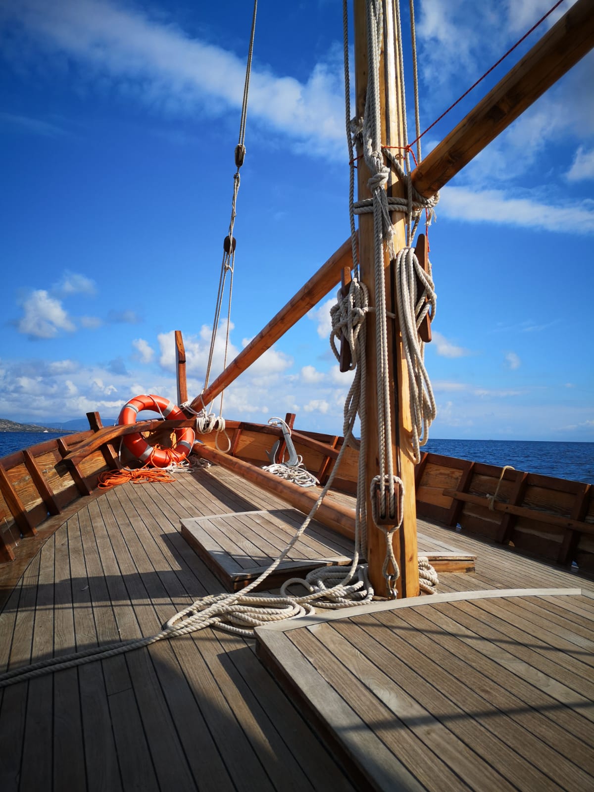 Sailing Trip along the Stintino coast and to La Pelosa Beach from Asinara's Latin Sails.