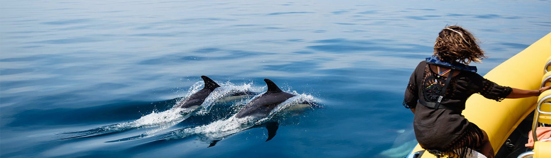 Twee dolfijnen zwemmen samen vlak naast de boot van de privé RIB boottocht vanuit Lagos met dolfijnen kijken met Zawaia Experience.