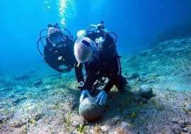 Two men are exploring the seabed during the Guided Dives in Akamas National Park & Blue Lagoon with Cydive Paphos.