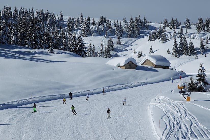 Slopes where the Kids Ski Lessons (6-14 y.) for All Levels with Scuola Italiana Sci Folgaria-Costa take place.