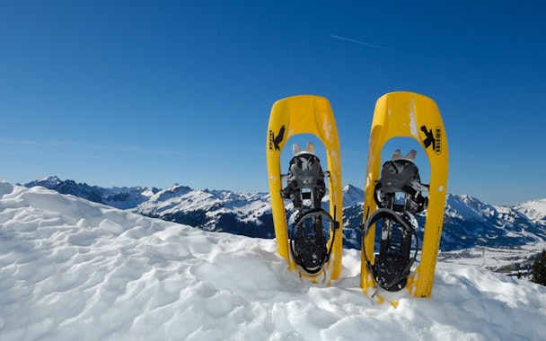 Private Snowshoeing Tour
