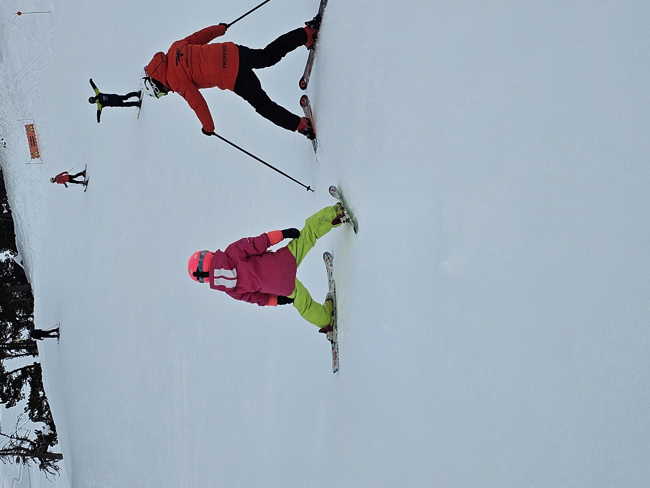 Skilessen voor kinderen voor alle niveaus.