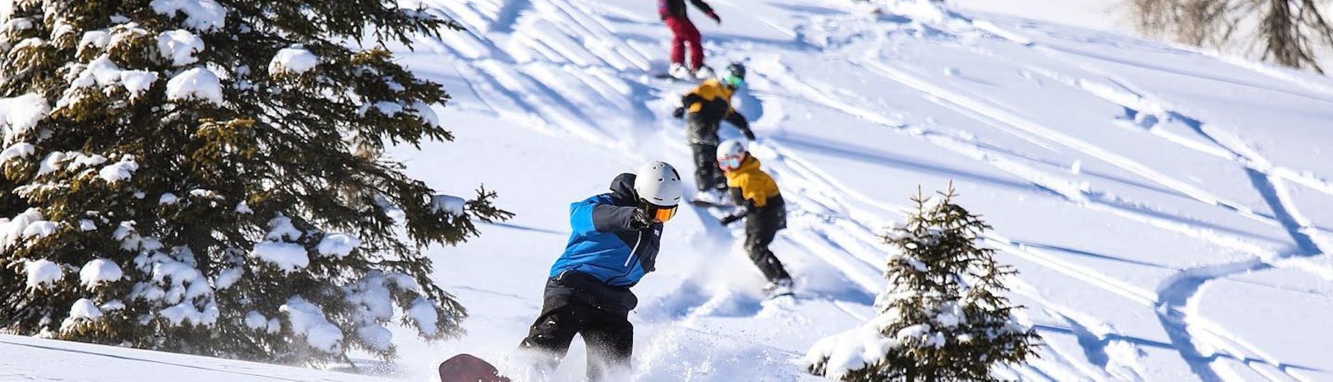 Un gruppo di ragazzi fa snowboard sulle piste di Madonna di Campiglio durante le Lezioni di snowboard per bambini e adulti di tutti i livelli con Scuola di Snowboard Zebra Madonna di Campiglio.