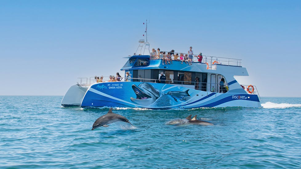 Dolphins swimming next to the boat used by Discover Tours Lagos for the Catamaran Trip around Lagos with Dolphin Watching.