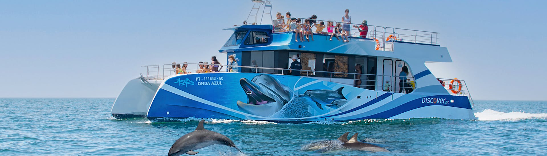 Dolphins swimming next to the boat used by Discover Tours Lagos for the Catamaran Trip around Lagos with Dolphin Watching.
