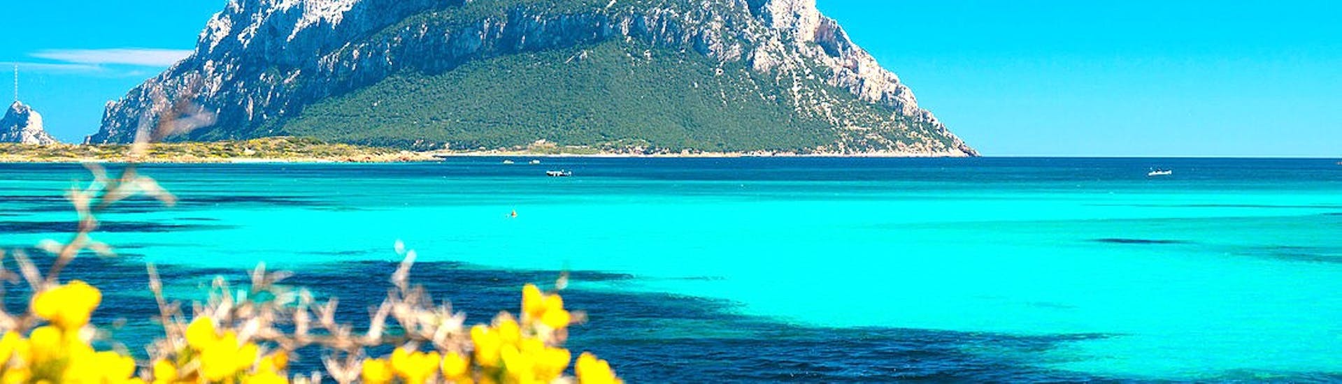Uitzicht op het eiland Tavolara, een van de stops van de boottocht naar het eiland Tavolara en Molara met zwemmen.