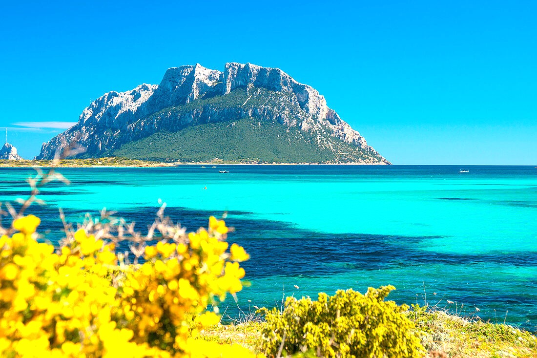 Tavolara Island, one of the stops of the Private Boat Trip to Tavolara Island and Molara with Swimming.