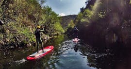 Paddling in the nature during the Private SUP Tour on the Douro River near Porto with Detours Porto.