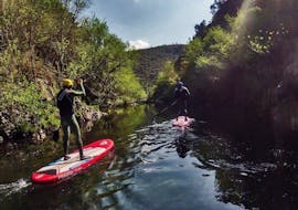 Remando en la naturaleza durante el Tour privado de SUP por el río Douro cerca de Oporto con Detours Porto.