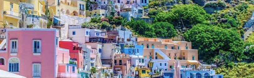 View of the colorful houses of Ischia during the Boat Trip from Pozzuoli to Ischia and Procida with Lunch organized by Gestour Pozzuoli.