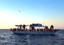 La barca di Salvador Ibiza che naviga al tramonto lungo la costa di Ibiza.