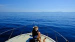 Our comfortable motorboat during a boat trip from Santa Teresa di Gallura to the La Maddalena archipelago with Mistral Escursioni.