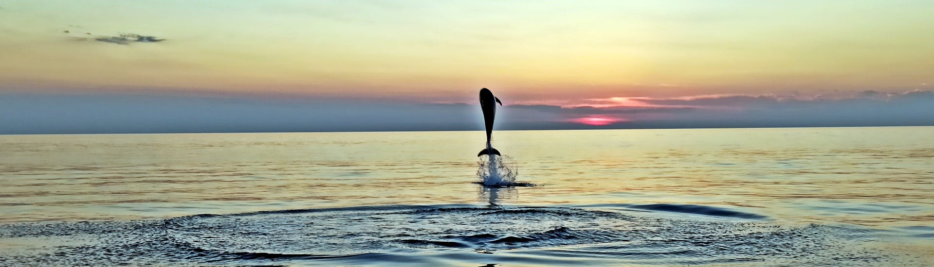 Giro in barca al tramonto da Rovigno con avvistamento delfini.