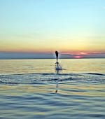 Balade privée en bateau au lever du soleil avec Observation des dauphins avec Rent A Boat Rovinj.