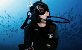 Somebody doing scuba diving during PADI Discover Scuba Diving in Sant Antoni de Portmany in Ibiza for Beginners bu Arenal Diving & Boat Trips.