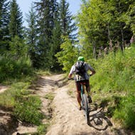 A person in the forest during the hybrid Bike Hire at Lake Annecy with K2 Outdoor Annecy.