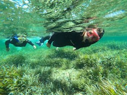 Zwei Personen unter Wasser beim Schnorcheln während des Schnorchelns im Naturpark Ses Salines von Formentera durch Vellmari Diving Center Formentera.