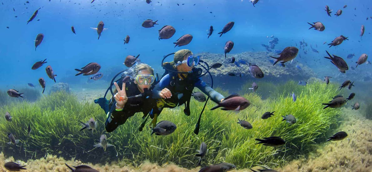 Two divers under water surrounded by fish during Discover Scuba Diving in Ses Salines from Formentera for Beginners by Vellmari Diving Center Formentera.