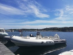 RIB-Bootsverleih in Porto Rotondo (bis zu 8 Personen) mit Führerschein mit Summer Service Boat Rental Porto Rotondo.