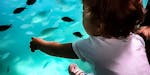 Petite fille découvrant les fonds marins durant l'excursion en sous-marin semi-submersible de Bandol près de l'île de Bendor avec Atlantide Promenades en Mer.