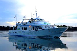 Gita in barca da Locmariaquer a Golfo di Morbihan con visita turistica con Vedettes du Golfe.