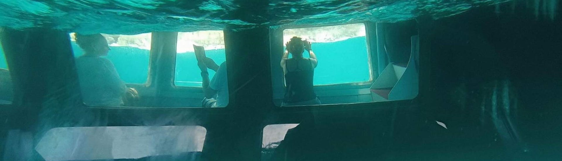 Des personnes admirent la vue depuis le fond en verre du catamaran pendant l'Excursion en catamaran à fond de verre le long de la côte ouest de Krk avec Aquavision Aquarius Malinska.