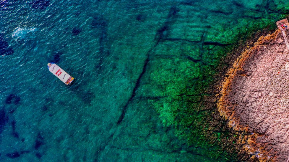 Gita in barca da Fasana (Fažana) a Kozada Island con bagno in mare e osservazione della fauna selvatica.