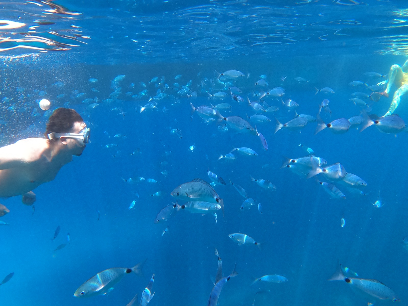 Catamarantocht van Sant Antoni de Portmany (San Antonio) naar Cala Gració met Capitan Nemo Ibiza.