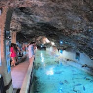 Das Aquarium, das während der Glasboden-Katamarantour zum Aquarium Cap Blanc mit Schnorcheln & Aperitif mit Capitan Nemo Ibiza besucht wird.