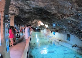 Das Aquarium, das während der Glasboden-Katamarantour zum Aquarium Cap Blanc mit Schnorcheln & Aperitif mit Capitan Nemo Ibiza besucht wird.