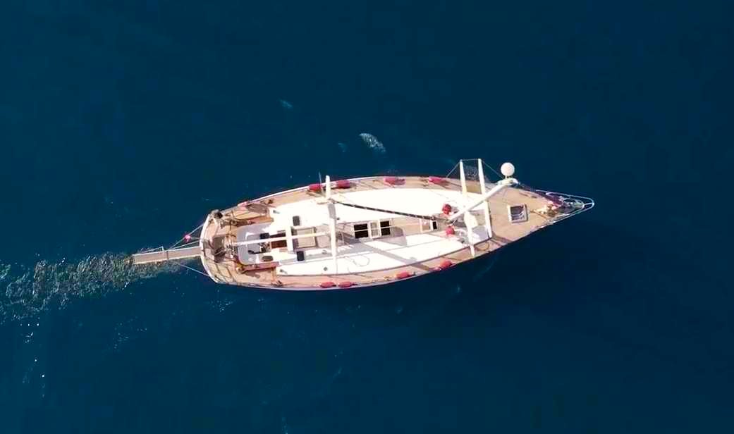 Privé zeilboottocht van Marina di Campo naar Portoferraio  & zwemmen met Rosie Probert Too Elba.