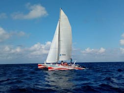 Una delle imbarcazioni utilizzate da Katayak Menorca per la gita in catamarano privato da Fornells lungo la costa nord di Minorca con open bar.