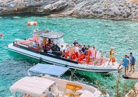 Gita in barca a Grotte Blu Zante con bagno in mare e osservazione della fauna selvatica con Explore Zakynthos.