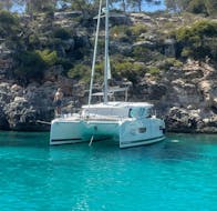 Half-Day Catamaran Trip along the Coast of Mallorca with Tapas, SUP & Snorkeling from Sail Palma.
