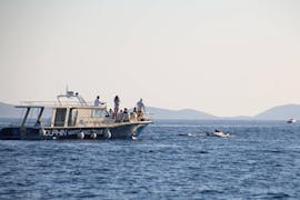 Boat of Dolphin Watching Murter during the boat trip from Murter with Dolphin Watching and Swimming stop.