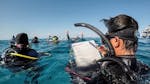 Corso di immersione PADI Open Water per principianti a Sliema con Dive Systems Malta.