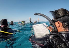PADI Open Water Course in Sliema for Beginners from Dive Systems Malta.
