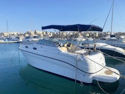 Bateau utilisé lors de l'excursion privée en bateau à partir de Gżira (jusqu'à 4 personnes) avec Big D Charters Malta.