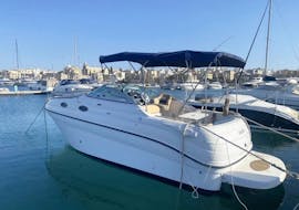 Paseo en barco privado a San Ġiljan (San Julián) con baño en el mar & pesca con Big D Charters Malta.