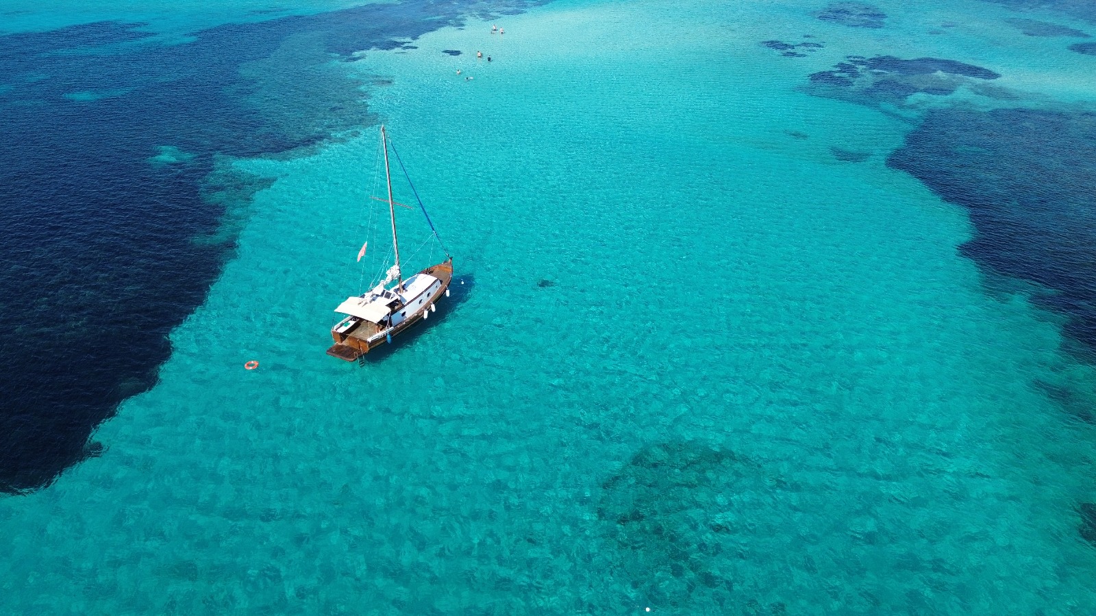 Private Bootstour von Stintino zum Asinara-Nationalpark mit Mittagessen.