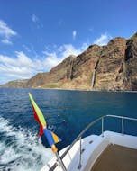 View from the catamaran during the private Catamaran Trip from Funchal with Dolphin and Whale Watching from VIP Dolphins Madeira.