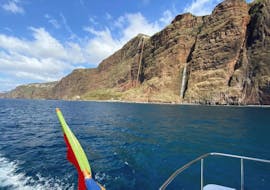 Paseo en catamarán privado de Funchal con baño en el mar & avistamiento de fauna con VIP Dolphins Madeira.